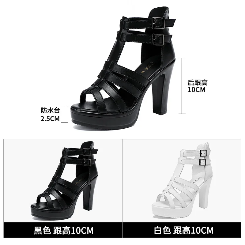 女性のためのグラディエーターハイヒールプラットフォームサンダ - Summer Clothing Stores のレビューと価格